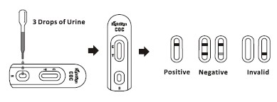 Entamoeba/Giardia/schnelle Test-Schlüsselkassette (Rückstände) in 1 Windows mit CER