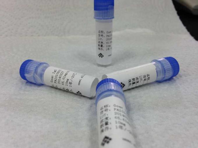 Ziege Anti-Maus-IgG Polyclonal Antikörper-Infektionskrankheit für Labor