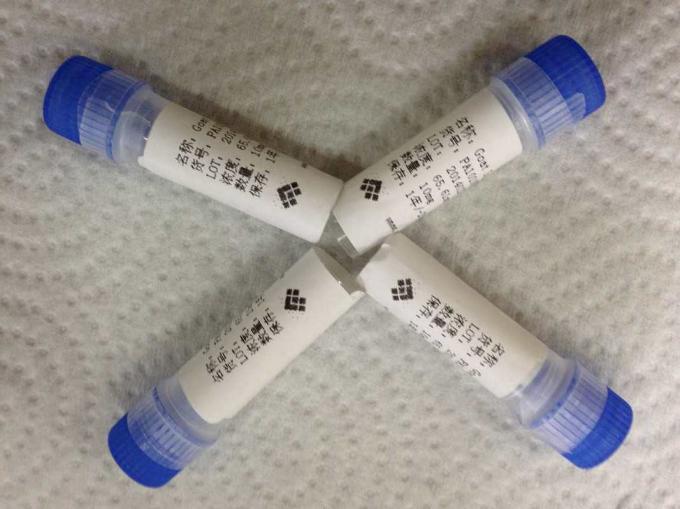 Polyclonal Antikörper-Infektionskrankheit des Ziegen-Antialpha-HCG für in-vitrofertigung