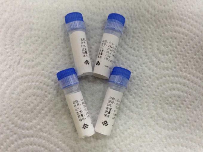Malaria HRPII der Ziege anti- Polyclonal Antikörper-Infektionskrankheit für pharmazeutisches