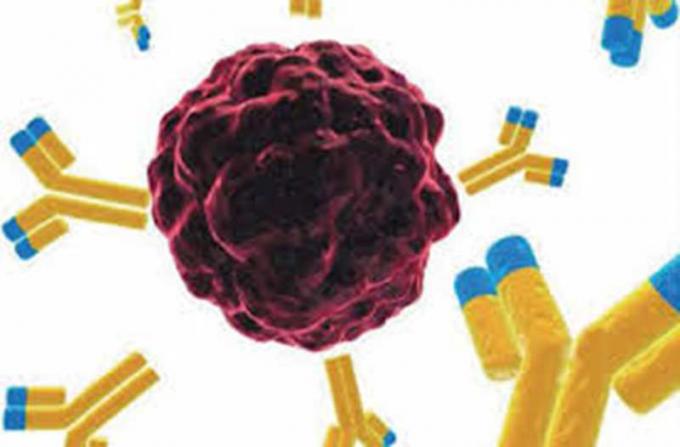 Mausanti- Benzodiazepines Hybridoma-monoklonaler Antikörper für IVD-Forschung