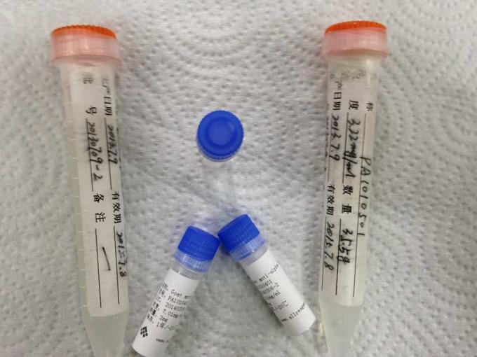 anti- Maus Mab des Propoxyphen Hybridoma-monoklonalen Antikörpers für TVD-Forschung