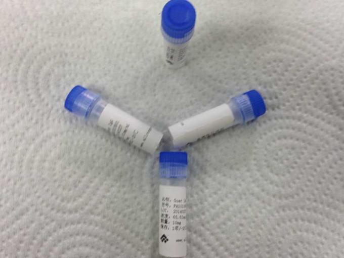 Medizinischer IgG-Ziegenpolyclonal Antikörper kundenspezifische Polyclonal Antikörper für Vitro-Diagnose