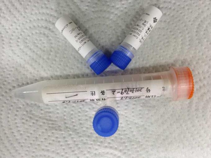 Antikörper-Droge Mäuseanti- Methamphetamin Mab Monoclone des Missbrauches