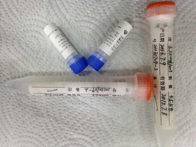 Kundenspezifischer monoklonaler Antikörper Mäuseanti- Benzedrin Mab für in-vitroforschung