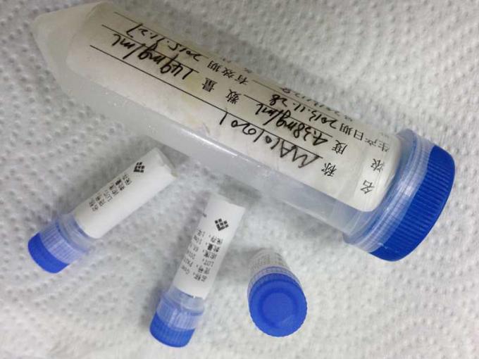 Maus-antiAngiotensin, das kundenspezifische Droge monoklonalen Antikörpers Enzym Mab des Missbrauches umwandelt