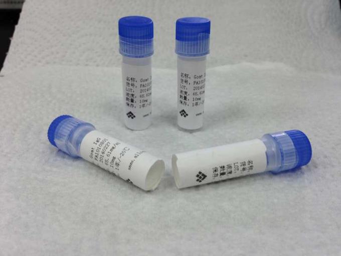 Pharmazeutisches anti-Trizyklisches Antidepressivum ein kundenspezifischer Monoclone-Antikörper
