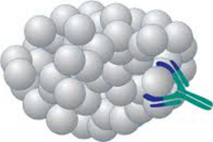 Mäuse-anti--Methaqualonum Antigen kundenspezifische Monoclone-Antikörper-Droge von Missbrauch forIVD Forschung