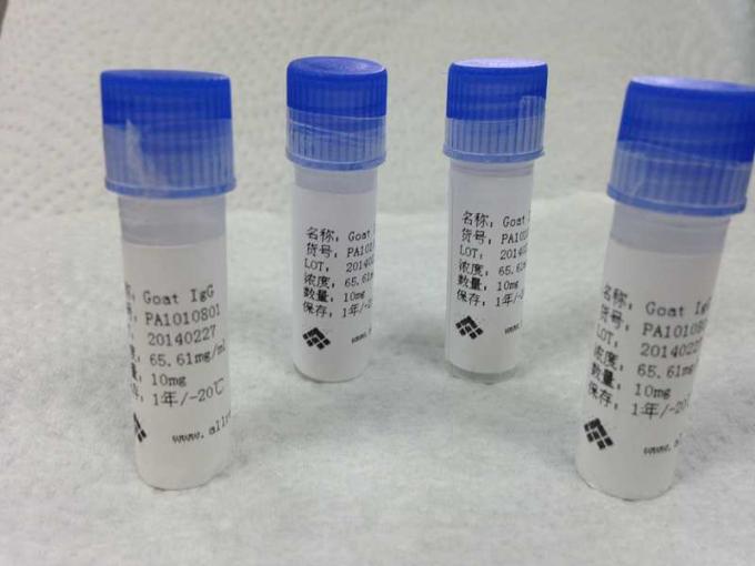 N, Dimethy1-3,4-Methylenedioxyphenethyamine-BGG Chemiefasergewebe-Antigene