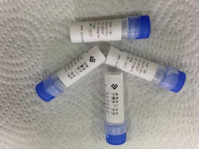 Tuberkulose gereinigtes Recombinant Protein für Membran-Probe