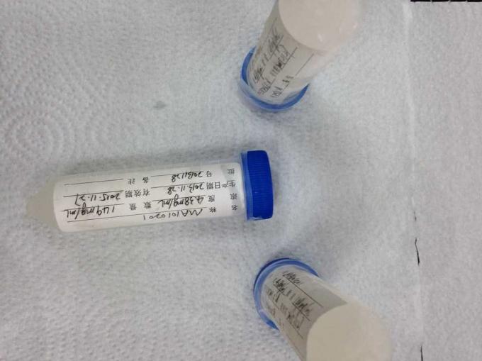 Hybridoma-monoklonale Antikörper Mäuseanti- Mensch RBCs Mab-1