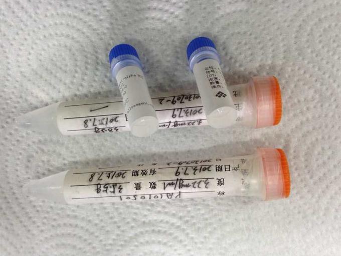 Maus-Anti-Alpha HCG Monoclone Antikörper-Droge des Missbrauches für IVD-Forschung