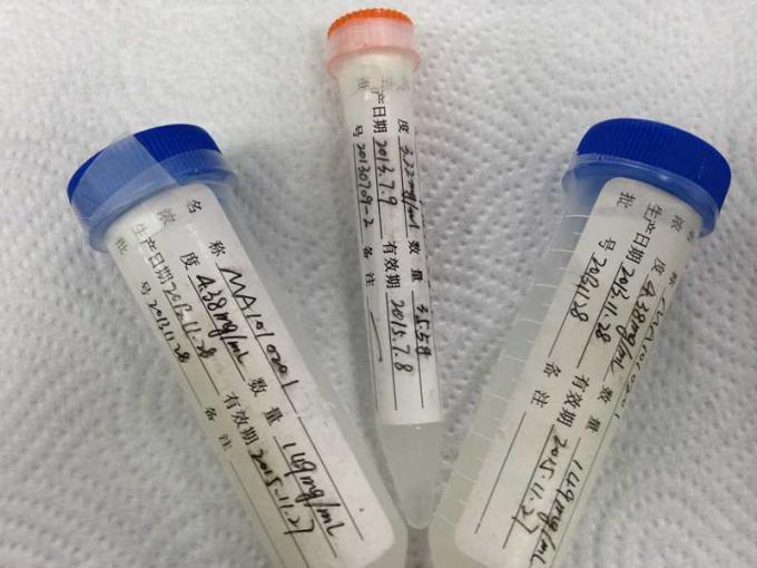 Hybridoma-monoklonaler Antikörper Mausanti- HBeAg Mab-2 für Membran-Probe