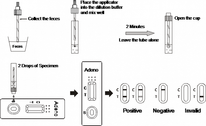 Vibrio cholerae O1 (VC O1) schnelle Test-Kassette (Rückstände) mit CER
