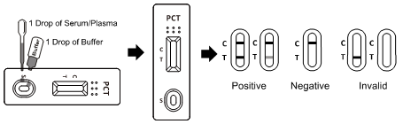 Schnelle bakterielle Test-Ausrüstungen für qualitative Entdeckung Procalcitonin