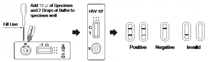 Seitlicher Fluss Immunochromatographic prüft schnelle Test-Kassette HSV 1/2 IgG für Serum oder Plasma