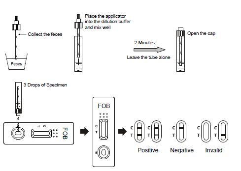 Cryptosporidium und kombinierter schneller Diagnosetest Giardia Lamblia mit CER