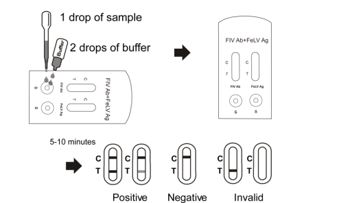Fiv-Antikörper-+ Felv-Antigen-kombinierte schnelle Test-Kassette, schnelle Drogen-Test-Ausrüstungen