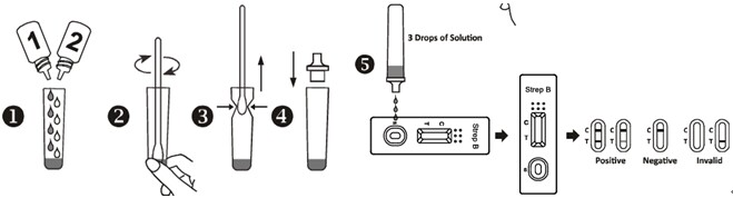 Schneller Streptobakterien-Test für qualitative Entdeckung von Streptokokken (GBS) der Gruppen-B im Urin