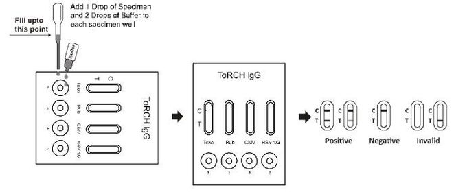 Kombinierte schnelle Test-Kassette ITOG -445 AllTest-FACKEL IgG 24 Monate Regal-Zeit
