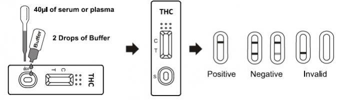 THC-Drogenmissbrauch-Test-Ausrüstung Rapid 11 nor-∆9 - THC-9 COOH Test-Ausrüstungen Vollblut/serum /plasma