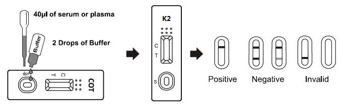 Synthetische Vollblut-/serum /plasma des Tests des Marihuana-K2 schnelle Kassette mit hoch genauem/genau