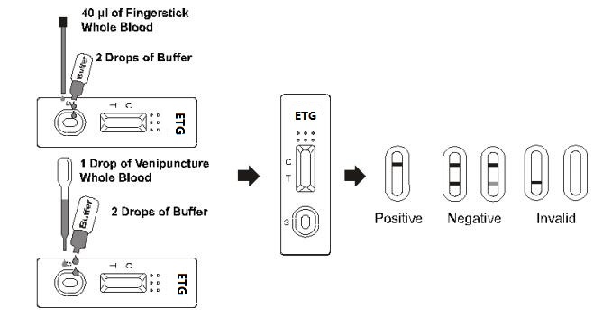 schneller Test 500ng zur Entdeckung des Alkohols Ethyl-Glucuronid im menschlichen Vollblut /Serum/Plasma mit CER