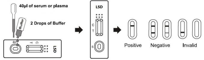 Drogenmissbrauch-Test-Ausrüstung Lysergic Säure Diethylamide schnelle chromatographischer Immunoassay im Vollblut /Serum/Plasma