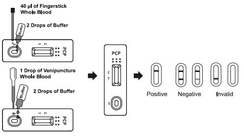 Kein Drogenmissbrauch-Test-der Ausrüstung der Kreuzreaktivitäts-25ng/ml PCP Vollblut/serum /plasma Phencyclidine Diagnose Soem