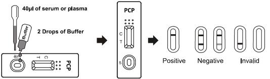 Kein Drogenmissbrauch-Test-der Ausrüstung der Kreuzreaktivitäts-25ng/ml PCP Vollblut/serum /plasma Phencyclidine Diagnose Soem