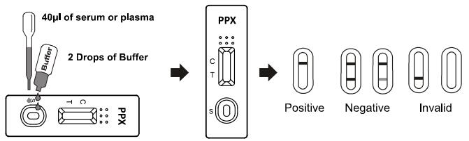Drogenmissbrauch /serum /plasma des hohen Vollblutes der Empfindlichkeit und der Besonderheit 300ng/ml PPX prüft Ausrüstung PPX Soem