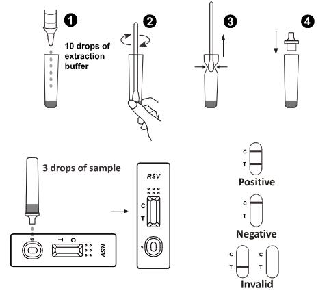 Zuverlässige und schnelle Testausrüstung Test einfaches beatmendes syncytiales Virus (RSV) mit CER
