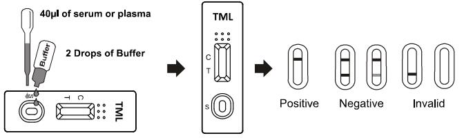 Vollblut von/serum /plasma 50 ng/ml Drogenmissbrauch-Test-Ausrüstung, Tramadol-Diagnosen-Ausrüstungen für TML-Rapid prüfen