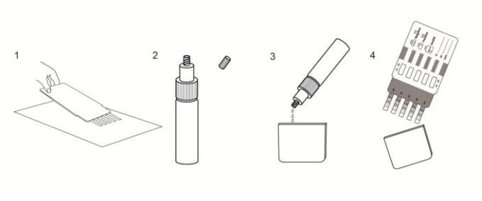 Multi- Drogen-schnelle Test-Platte für die qualitative Entdeckung des CERS bestätigt im Pulver