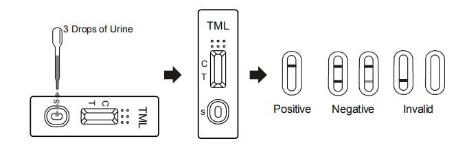 Drogenmissbrauch-Test-Ausrüstung Tramadol TML Hoch qualifizierter Rapid im menschlichen Urin