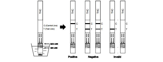 Bequemer Urin-fasten einzelner Test-Streifen des Marihuana-THC THC/Droge der Missbrauchs-Test-Ausrüstung