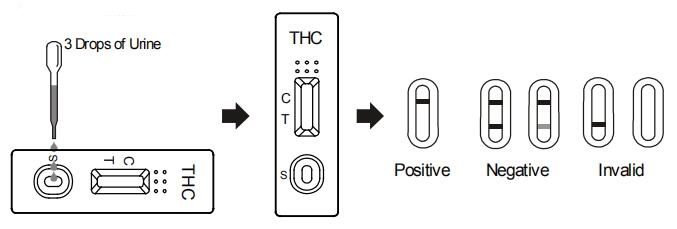 Bequemer Urin-fasten einzelner Test-Streifen des Marihuana-THC THC/Droge der Missbrauchs-Test-Ausrüstung