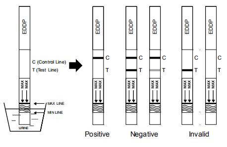Schneller Test für die qualitative Entdeckung der Äthylendiamin-dimethylphosphinicsäure EDDP im menschlichen Urin