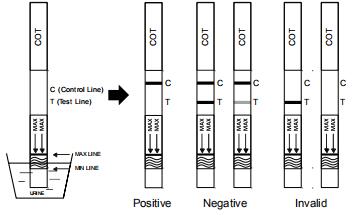 Schneller Diagnoseölmessstab Cotinine, Kassette, PaneTest-Ausrüstungen, Nikotin-Stoffwechselprodukt-qualitative Entdeckung mit dem CER bestätigt