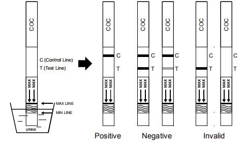 Kokain-Drogenmissbrauch-Kassetten-/Ölmessstab-/Platten-Test-Ausrüstungs-Urin der hohen Qualität COC mit CER und FDA
