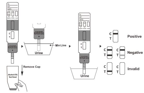 150 genaue ng/ml hoch und CER bestätigten schnellen schnellen Test-Ölmessstab/Kassette/Platte Diagnosetest-Ausrüstungen CAT im Urin