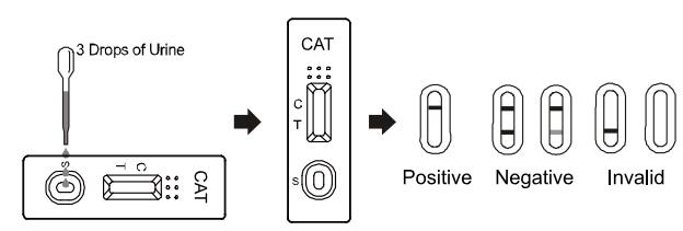 150 genaue ng/ml hoch und CER bestätigten schnellen schnellen Test-Ölmessstab/Kassette/Platte Diagnosetest-Ausrüstungen CAT im Urin