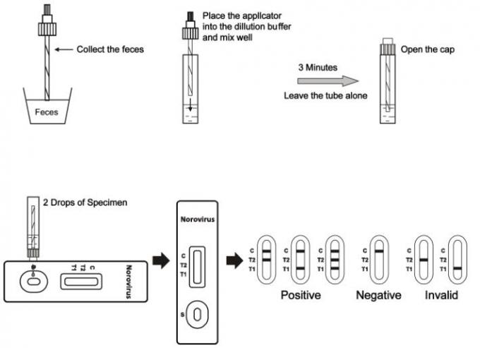 Noroviruses-Infektionskrankheits-Prüfungs-Kassette mit dem Cer genehmigt