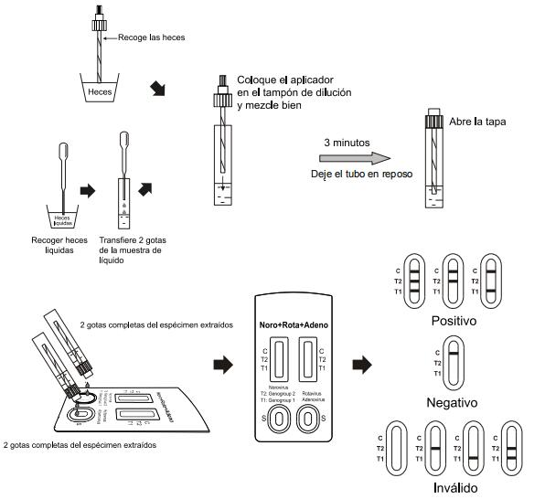 Bequemer Norovirus-Rotavirus und Adenovirus-Diagnosetests mit CER Durchlauf