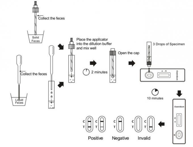 CER bestätigte difficile GDH schnelle Test-Kassette des seitlichen Fluss Immunochromatographic-Proben-Clostridium-