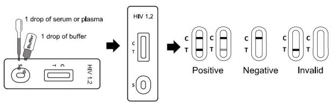 Ein Schritt einfache HIV-Ausgangstest-Ausrüstungen, die Eignungstest mit Serum/Plasma binden