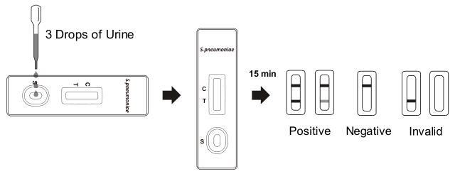 S.-pneumoniae Antigen-schnelle Test-Kassette (Urin)