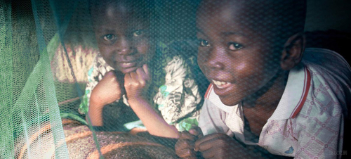 Latest company news about WHO empfiehlt den Gebrauch von Pyrethroid-behandelten Moskito-Netzen für Malaria-Verhinderung