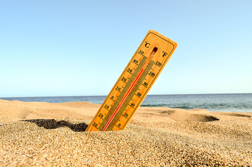 Latest company news about Die Hitze ist groß: Steigende Temperaturen bringen Gesundheitsrisiken mit sich