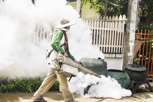 Neueste Unternehmensnachrichten über Was man über Dengue-Fieber wissen sollte, wenn sich die Fälle an neue Orte ausbreiten
